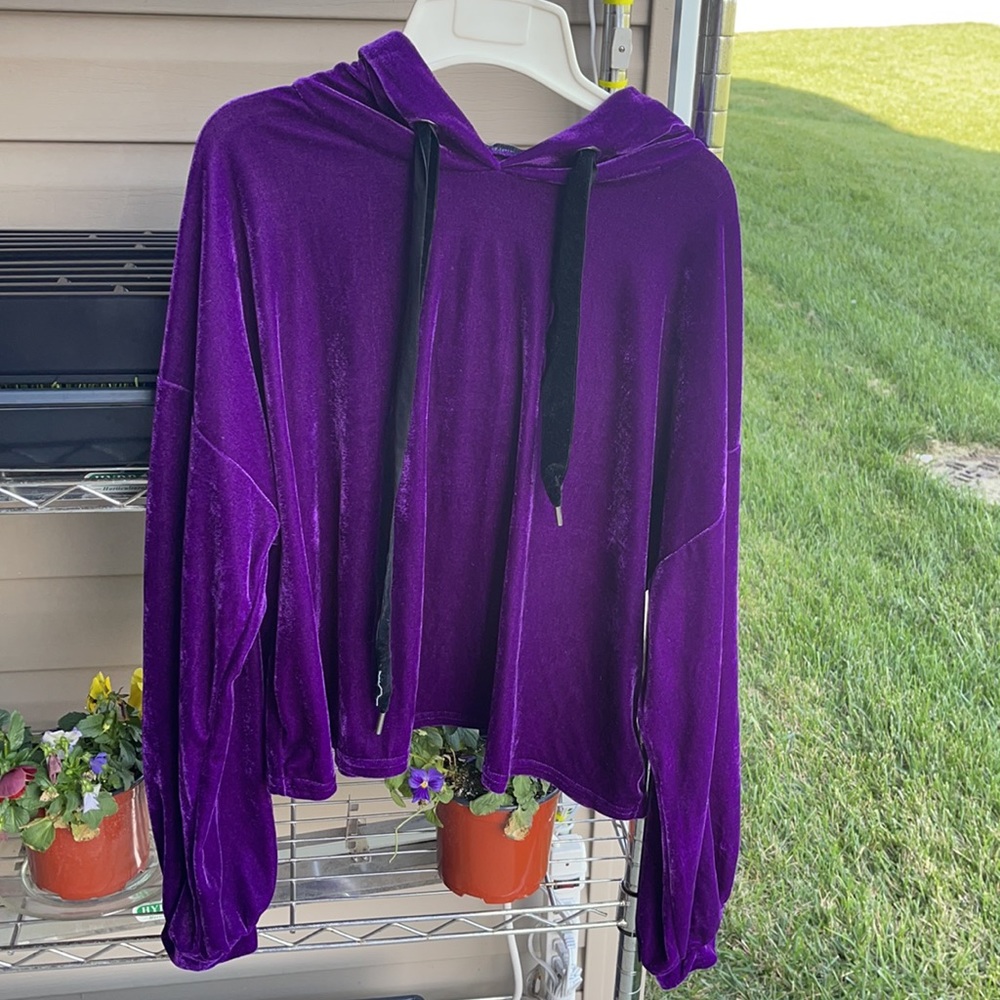 Zara Trafaluc purple velvet hoodie! NWOT